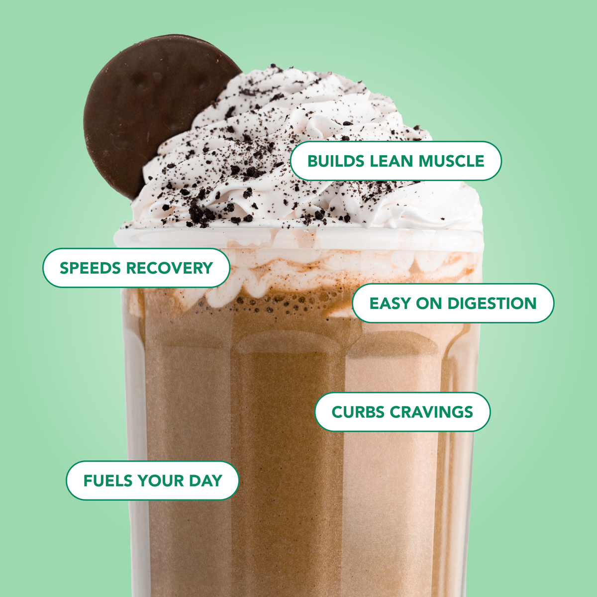 Protein Powder: Mint Chocolate Cookie (10 Serving Bag)